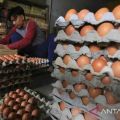 Indonesia's minister warns regions over rising inflation rates
