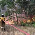 Kebakaran lahan di Bintan berhasil dipadamkan