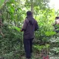 DLH Sulsel: Perhutanan sosial berikan akses legal bagi masyarakat