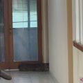 Macan tutul masuk hotel di Bandung, diduga kabur dari Lembang Park and Zoo