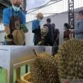 Kadin Parimo: Regulasi bersama perkuat investasi dan ekonomi daerah