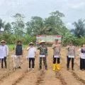 Bulog Palopo dan Polres Lutim tanam jagung serentak dukung swasembada pangan