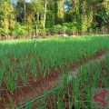 Jejak literasi keuangan dari pegunungan hingga kepulauan di wilayah Sulsel