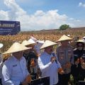 Ministry supports national food security by harvesting corn in E Java