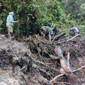 Search underway for 23 missing after flash flood in Highland Papua