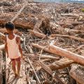 Indonesia clears, records floodwood for community use in Sumatra