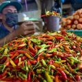 Pagi ini harga cabai, bawang, dan telur ayam alami penurunan
