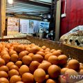 Harga pangan naik, cabai rawit merah tembus Rp50.200 per Kg