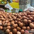 Update harga pangan: Cabai rawit merah dan telur ayam masih tinggi