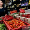 Harga pangan nasional terpantau stabil, cabai rawit merah Rp48.600/kg