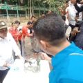 Menhut: Lestarikan keanekaragaman hayati  dan  kerajaan kupu-kupu TN Bantimurung Bulusaraung