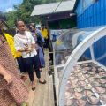 Solar innovation helps Papua fishermen preserve catches, boost yields