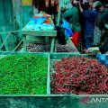 Harga pangan nasional: Cabai rawit merah tembus Rp64.150/kg