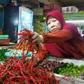 Harga cabai, bawang, hingga beras kompak turun, data terbaru Bapanas