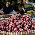 PIHPS catat harga bawang merah Rp44.000/kg, cabai rawit merah Rp76.150/kg