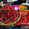 Update PIHPS: Harga cabai dan bawang masih tinggi di tingkat eceran