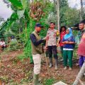 BKSDA evakuasi satu keluarga yang terjebak harimau sumatra di Agam