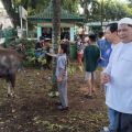 Masjid Agung Palembang bagikan 2.000 kupon daging kurban