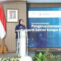 Gov't drafts gender mainstreaming guideline in palm oil sector