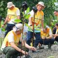 Menyulam alam, mewujudkan IKN kota hutan dunia