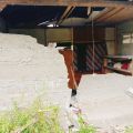 Strong 6.7-magnitude quake damages 841 houses in C Sulawesi: BPBD