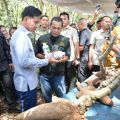VP Gibran promises follow-up on cassava farmers' concerns