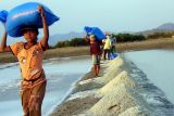 Tajuk: Hilirisasi garam NTB, Tantangan atau peluang?