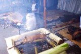 Denpasar (Antara Bali) - Beberapa peserta memanggang babi saat lomba babi guling khas Bali dalam rangkaian Festival Denpasar 2009 di Denpasar, Bali, Selasa (29/12). Lomba masakan khas Bali tersebut bertujuan untuk melestarikan masakan tradisional sekaligus memberikan atraksi menarik bagi wisatawan pada akhir tahun 2009. FOTO ANTARA/ EDOARDO/09