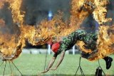 Denpasar (Antara Bali) - Seorang prajurit TNI Kodam IX Udayana melintasi rintangan api saat atraksi di sela serah terima jabatan Pangdam IX Udayana di Denpasar, Bali, Jumat (9/4). Atraksi tersebut sekaligus untuk melatih dan uji kemampuan prajurit dalam menghadapi situasi terburuk di medan tempur. FOTO ANTARA/Nyoman Budhiana/10.