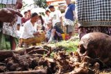 Gianyar (Antara Bali) - Seorang warga memanggil arwah anggota keluarganya yang telah meninggal beberapa tahun lalu untuk dikremasi dalam upacara 