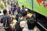 Denpasar (Antara Bali) - Sejumlah pemudik mengatur barang-barangnya dalam bagasi bus saat mudik bareng para pedagang martabak di Lapangan Lumintang, Denpasar, Bali, Sabtu (4/9). Mudik bareng itu dilakukan dalam beberapa tahap untuk dan puncak arus mudik dari Bali ke berbagai daerah di Indonesia diperkirakan pada H-3 Lebaran. FOTO ANTARA/Nyoman Budhiana/10.