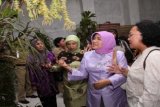 BANJARMASIN (3/11) - ANGGREK MERATUS - Ketua Umum Persatuan Anggrek Indonesia Hj. Mufidah Jusuf Kalla memperhatikan salah satu species anggrek yang dipamerkan di Taher Square Banjarmasin setelah membuka 