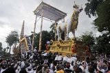 Ubud (Antara Bali) - Ribuan warga mengarak peti jenazah berbentuk sapi yang diiringi 