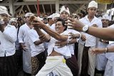 Denpasar (Antara Bali) - Seorang Umat Hindu dalam keadaan kesurupan menusukkan keris ke tubuhnya dalam tradisi 