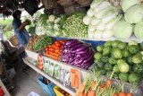 Dinkes: Tingkat Konsumsi Sayur Masyarakat Rendah