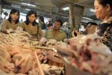 Denpasar (Antara Bali) - Beberapa petugas dari Dinas Peternakan Provinsi Bali memeriksa daging ayam saat inspeksi bahan pangan menjelang Hari Raya Idul Fitri 1432H di Pasar Badung, Denpasar, Bali, Rabu (24/8). Petugas menyita sekaligus memusnahkan sekitar 200 ekor daging ayam dan itik yang diselundupkan dari Jawa Timur serta tidak layak dikonsumsi. FOTO ANTARA/Nyoman Budhiana/11.