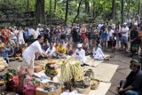 Ubud (Antara Bali) - Puluhan wisatawan menyaksikan prosesi ritual Tumpek Kandang di Monkey Forest, Ubud, Gianyar. Ratusan kera yang menghuni hutan seluas 12 hektar itu diupacarai pada hari Tumpek Kandang untuk keharmonisan alam, kelestarian dan dapat memberi dampak positif bagi masyarakat sekitarnya. FOTO ANTARA/Nyoman Budhiana/11.