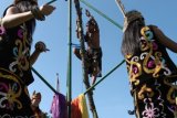 Banjarmasin, 25/11 - Hasan, anggota tim kesenian Kabupaten Tabalong menaiki batang pohon manau dengan iringan tari dayak di arena Festival Budaya Pasar Terapung ke IV di halman Kantor Gubernur Kalsel, Jumat (25/11). Festival budaya bertema 