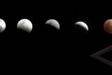 Medan (Antara Bali) - Foto sekuel proses terjadinya gerhana bulan total yang terlihat di Medan, Sumut, Sabtu (10/12) malam. Gerhana bulan total itu terjadi pada pukul 20.45 WIB hingga pukul 21.30 WIB. FOTO ANTARA/Septianda Perdana/11.
