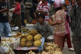 Tanjung, 23/12 - BUAH PAMPAKIN - Tak hanya terkenal dengan buah langsat yang manis, Tabalong juga kaya dengan aneka buah lokal. Salah satunya pampakin yang saat ini mulai membajiri pasar Tanjung. Dengan harga antara Rp10 ribu hingga Rp20 ribu per biji, buah yang mirip durian ini sangat digemari masyarakat setempat maupun dari luar daerah. Buah pampakin kebanyakan berasal dari wilayah utara dan selatan Tabalong seperti kecamatan Haruai, Bintang Ara, Kelua dan Tanta.Foto:ANTARA/Herlina Lasmianti/B