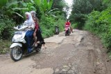 Banjarmasin, 21/12 - JALAN  RUSAK PARAH - Dua pengedara sepeda motor melintasi jalan yang rusak parah karena sebagian aspal terkelupas di Desa Kertak Empat Kecamatan Pengaron Kabupaten Banjar, menurut warga setempat kerusakan jalan lebar empat meter itu karena sistem drainase yang kurang baik dan sampai sekarang belum ada tanda diperbaiki pemerintah setempat.(Foto ANTARA/Asmuni K/A).


