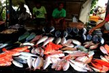 Padang Facilitates Small-scale Fishermen To Market Fresh Fish