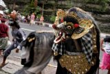 Gianyar (Antara Bali) - Beberapa remaja membawakan Tari Barong Bangkal dalam tradisi "Ngelawang" di Gianyar, Bali, Minggu (5/2). Tradisi menari berkeliling kampung itu merupakan kegiatan dalam rangkaian Hari Galungan di Bali yaitu perayaan kemenangan "Dharma" atau kebenaran di atas "Adharma" atau kejahatan. FOTO ANTARA/Nyoman Budhiana/12.