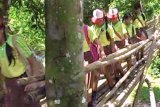 Negara (Antara Bali) - Beberapa murid SD Negeri 1 Pendem melintasi jembatan bambu saat berangkat ke sekolah di Kelurahan Pendem, Jembrana, Minggu (26/2). Meski berbahaya ketika air sungai membesar saat hujan namun para siswa dan warga terpaksa melintasinya karena hingga kini belum tersentuh perbaikan secara permanen. FOTO ANTARA/Gembong Ismadi/12.