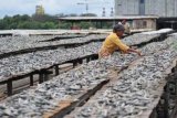 Jakarta (Antara Bali) - Pekerja menjemur ikan lokal olahan di kawasan Muara Angke, Jakarta Utara, Rabu (29/2). Pemerintah mengeluarkan kebijakan impor ikan tahun 2012 yaitu khusus untuk ikan sub tropis, yang memang tidak terdapat di seluruh perairan Indonesia agar produksi ikan dari hasil tangkap dan budidaya dapat lebih meningkat. FOTO ANTARA/Rosa Panggabean/12.