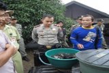 Amuntai,2/2.RAZIA ANAK IKAN - Tim gabungan Dinas Peternakan dan Perikanan Kab HSU, Polsek Amuntai Tengah, dan satpol PP , Selasa (31/1) pagi melakukan Inpeksi mendadak (sidak) terhadap penjualan anak ikan di Pasar Amuntai. Tiga pedagang yang kedapatan menjual anak ikan jenis pepuyu dan ikan haruan (gabus) langsung diberi peringatan ditempat dan dicatat identitasnya./ Humas/D 