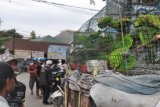 Banjarmasin, 15/3- SERINDIT KALTENG - Warga memperhatikan puluhan burung jenis Serindit yang didatangkan dari Provinsi Kalimantan Tengah (Kalteng) yang dijual bebas di jalan Veteran Banjarmasin. 
    Serindit hijau yang masuk dalam famili Psittacidae itu di Kalimantan Selatan kini sudah langka walaupun ada tersisa hanya puluhan ekor yang terdapat di Pegunungan Meratus.(Foto ANTARA/Asmuni K/D)