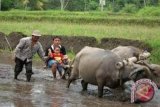 Disbudparpora dampingi desa wisata laksanakan bantuan PNPM