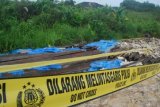 Samarinda (ANTARA News Kaltim) - Seorang warga melihat tumpukan kayu ulin yang diberi garis polisi di lokasi penimbunan Bahan Bakar Minyak (BBM) di Kelurahan Bentuas, Kecamatan Palaran, Samarinda, Kamis (15/3). Selain mengungkap penimbunan 20, 4 ton BBM jenis solar polisi juga berhasil menyita puluhan kubik kayu Ulin dan Meranti di sebuah areal tambang batu bara di Kelurahan Trans Bentuas, Kecamatan Palaran. (Amirullah/ANTARA)
