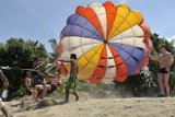 Sanur (Antara Bali) - Beberapa pemandu mengarahkan wisatawan saat mencoba wisata parasailing di Pantai Sanur, Bali, Sabtu (21/4). Atraksi yang termasuk wisata olahraga itu banyak dikembangkan di pesisir selatan Bali yang ditawarkan 15 Dollar AS atau sekitar Rp130 ribu untuk menikmati keindahan alam dari udara selama sekitar 7 menit. FOTO ANTARA/Nyoman Budhiana/12.